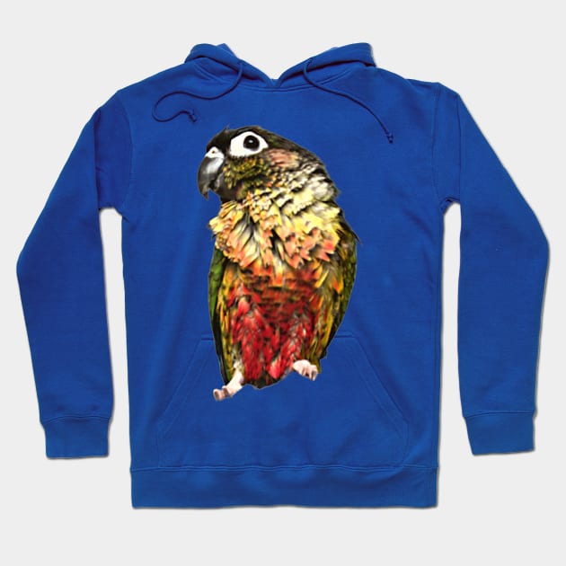 Green Cheek Conure Parrot Bird design, Love for birds Hoodie by TatianaLG